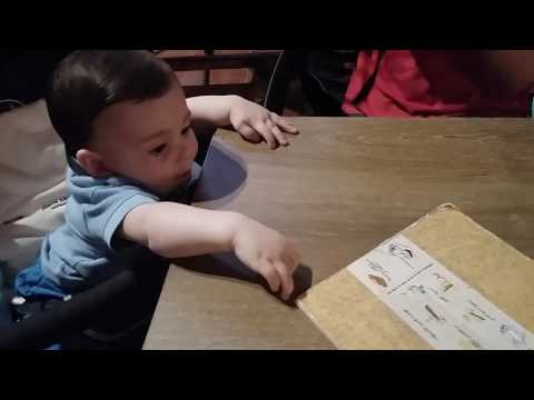 კოდექსი (10 თვის)