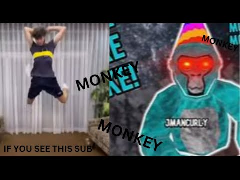 Monkey Monkey Monkey JMANCURLY Compilation💀☠️😈 - YouTube