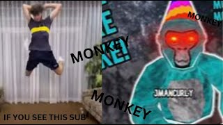 Monkey Monkey Monkey JMANCURLY Compilation💀☠️😈