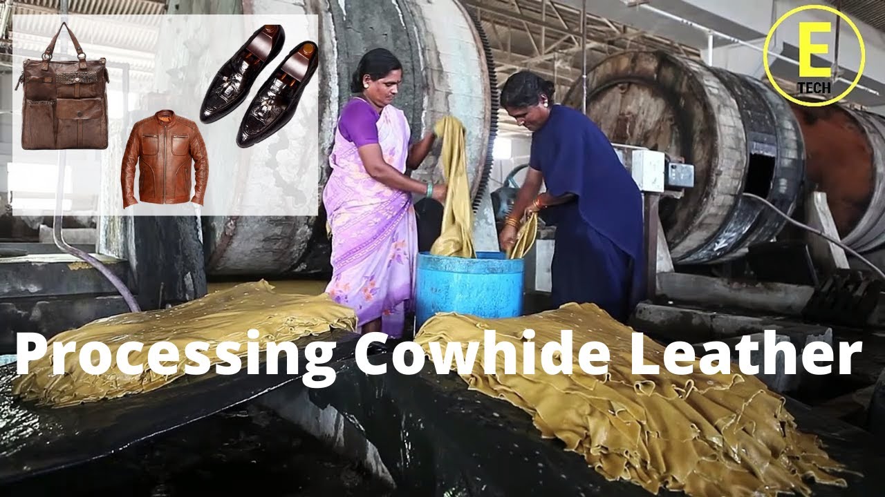 Amazing Process of Processing Cowhide Leather You Have Never Seen