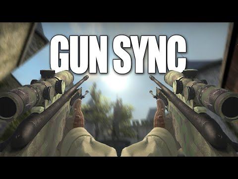 [CS:GO] GUN SYNC | Go go go!