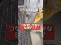【ムーンショットの塗装作業編】あるある。😂【#shorts 】