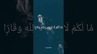 Surah Nuh