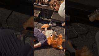 Furries invade @mileofmusicfest set! #furries
