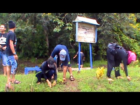 Video: Relawan Tanaman - Apa Itu Relawan Tanaman Di Taman