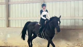 NCEA Flat Pattern CATCH RIDE - June Knudson 2028