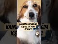 #aboneolmayıunutma #memes #komikbnwbb #gulmeme #funny #mizah