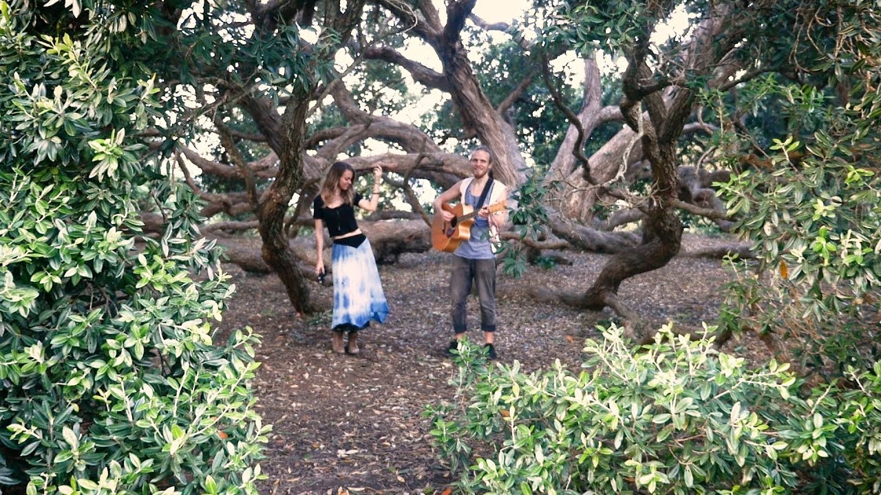 Obejrzyj River Roots - Monkey Corner (Live in the Trees) w YouTube Obejrzyj River Roots - Monkey Corner (Live in the Trees) w YouTube