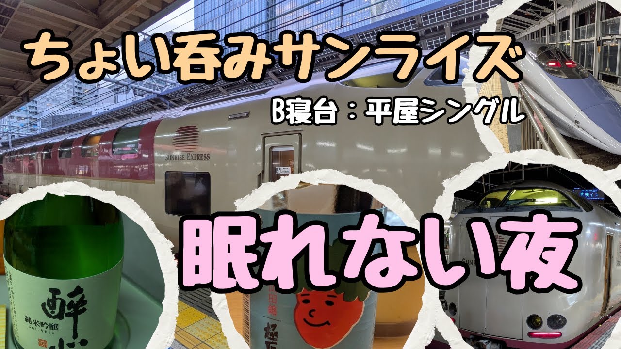 【呑み鉄】揺れながら話しかけてくる寝台特急　台車上B寝台の眠れぬ一夜【サンライズ瀬戸】
