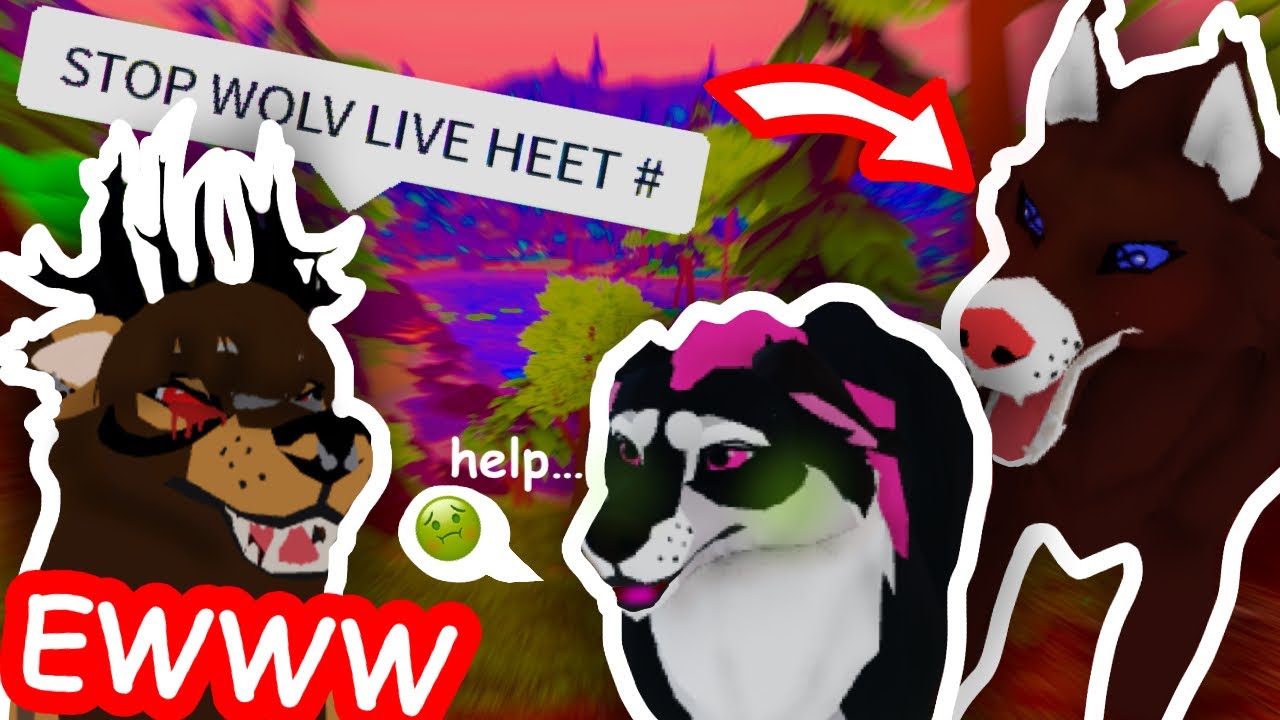 BAD WOLF CAUGHT! на альбоме Wolves Life (при участии Уолтера)