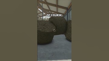 How much MILK produce 1 COW in Farming Simulator 25? | Experiment no 76 in FS25