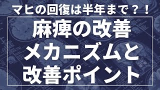 脳梗塞 上尾市 リハビリセンター 片麻痺の改善メカニズムと改善ポイント