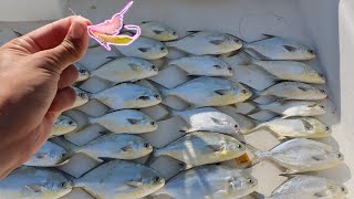 WEIRD Looking Lure Catches Hundreds Of Fish! (Goofy Jig Pompano Fishing)