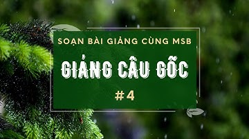 GIẢNG CÂU GỐC P.4 | LOẠT BÀI SOẠN BÀI GIẢNG CÙNG MSB