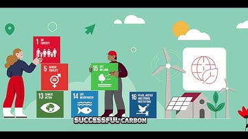 🌍 Inside the Carbon ERP: Versign’s System for Climate Transparency | Versign Climate Action