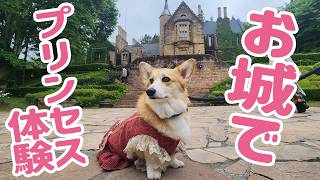群馬犬連れ】ロックハート城でプリンセス体験でドレスアップ＆高崎