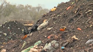 How Does Food Waste Get Composted?