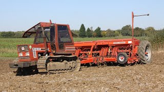 Clic 1988 Fiat 80-65 Crawler Mf 30 4M Disc Drill Drilling Wheat Steel Tracks At Work