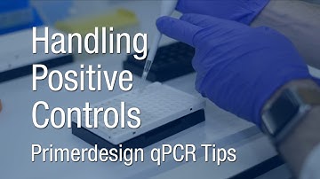 Primerdesign qPCR Tips | Handling Positive Controls