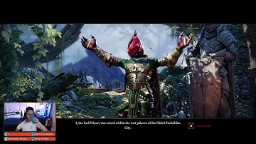 Divinity: Original Sin II Part 1