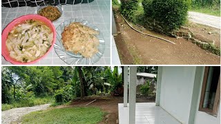 Cara Membersihkan Halaman Rumah Agar Terlihat Selalu Bersih Dan Rapi..