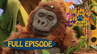 Animal Show | Rhino 🦏 / Gorilla 🦍 | Jim Henson Family Hub | Kids Cartoon