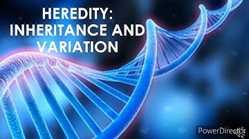 Heredity: Inheritance and Variation (Science 9 Quarter 1 Module 2)