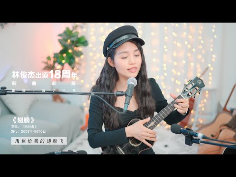 【喵了個藝】JJ Lin林俊傑出道18週年歌曲串燒