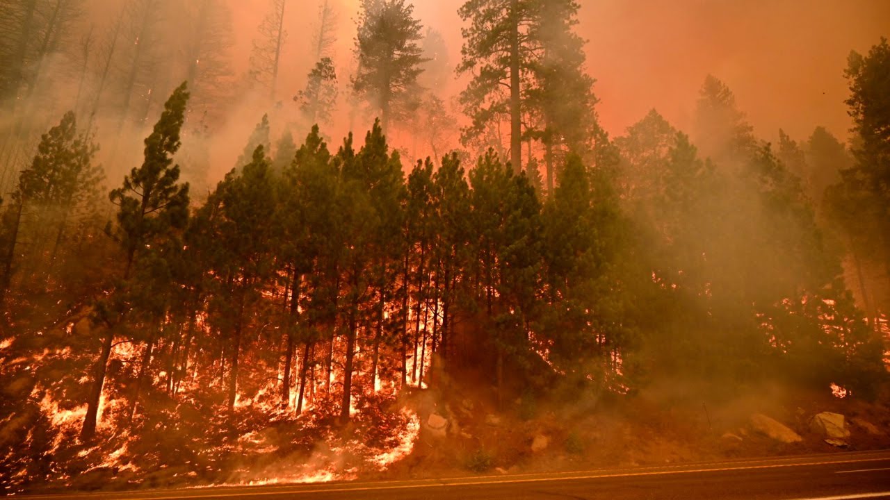 See Video As Flames Reach Highway 50 East Of Kyburz In Caldor Fire ...
