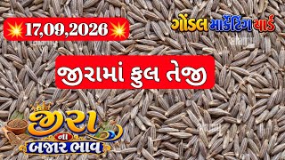 Eera Na Bajar Bhav જીરા ના બજાર ભાવ Cumin Market Price ગોંડલ માર્કેટ યાર્ડ ના ભાવ 17,09,2026