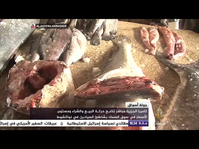 حركة البيع والشراء في سوق السمك بشاطىء الصيادين في نواكشوط