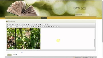 Easy Page Editing with mojoPortal CMS