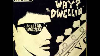 Video thumbnail of "The Cellar Dwellers - Wonderin' Why"