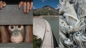 Module 1 | INTRODUCTION | CS Step 3 | Online Course