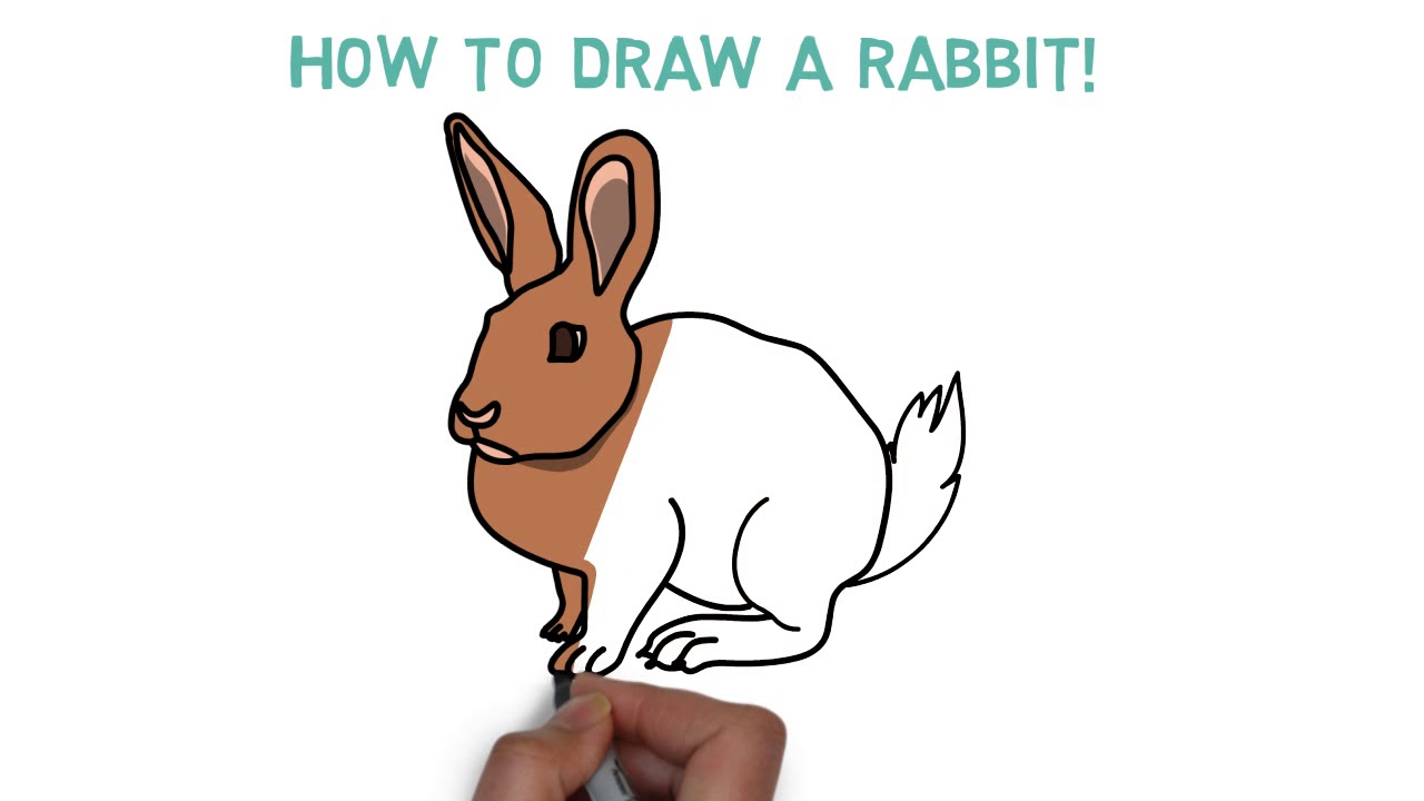 How to draw a Rabbit - Hướng dẫn vẽ con thỏ cho bé - Dạy bé học vẽ