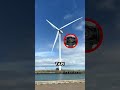 Why Do Wind Turbines Spin So Slowly? Here’s the Secret! 𖣘
