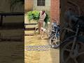 वफ़ादार डौगी अपने मालिक की मदद करना नही भूलता है ll #dog #animals #shorts