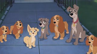 Welcome Home (Finale) l Lady And The Tramp 2 Scamp’s Adventure l Full HD l 1080p