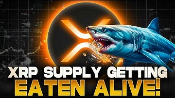 XRP Circulating Supply Is Dropping FAST! – Are ETFs Creating a Massive Supply Shock!