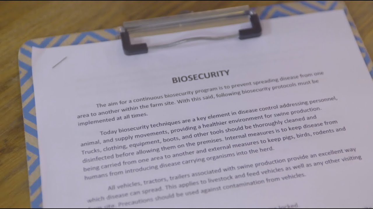 Focus on Livestock: Biosecurity Best Practices for Farm Visitors