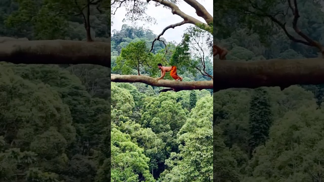 82 mt tree solo 🌳🔥