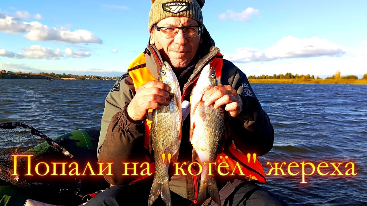 Однажды осенью на реке Мёша.  Попали на "котёл" жереха