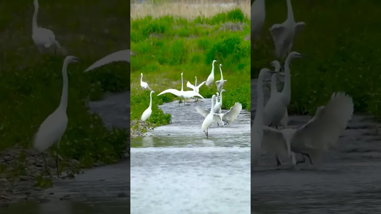 Enjoying the cool breeze and water.. 