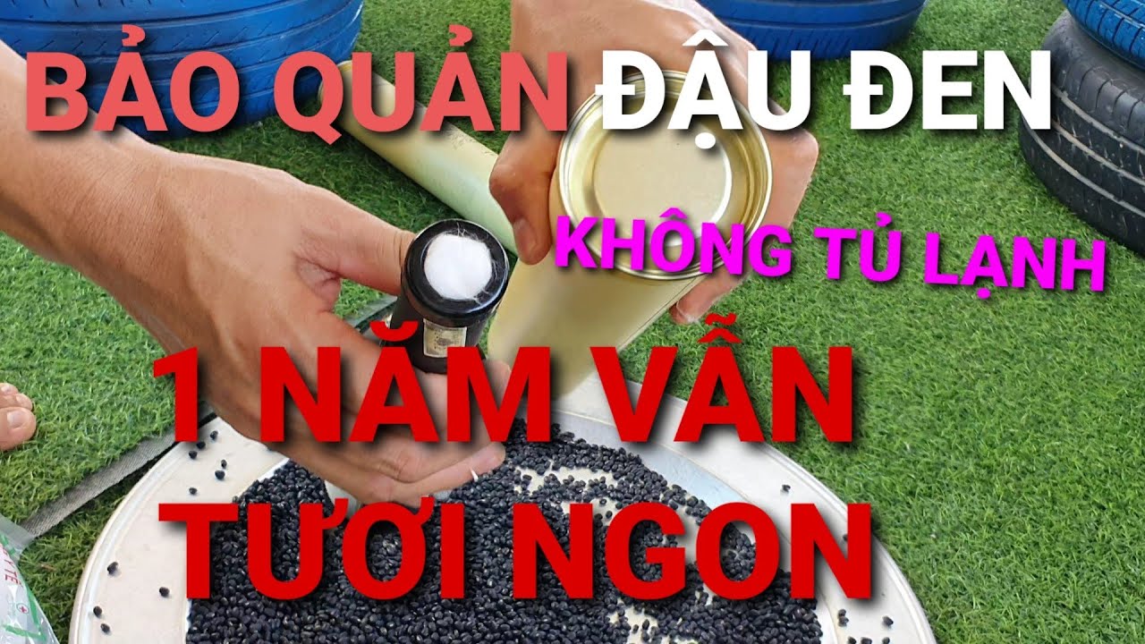 TUYỆT CHIÊU BẢO QUẢN ĐẬU ĐEN KHÔNG TỦ LẠNH. KEEPING BLACK BEAN