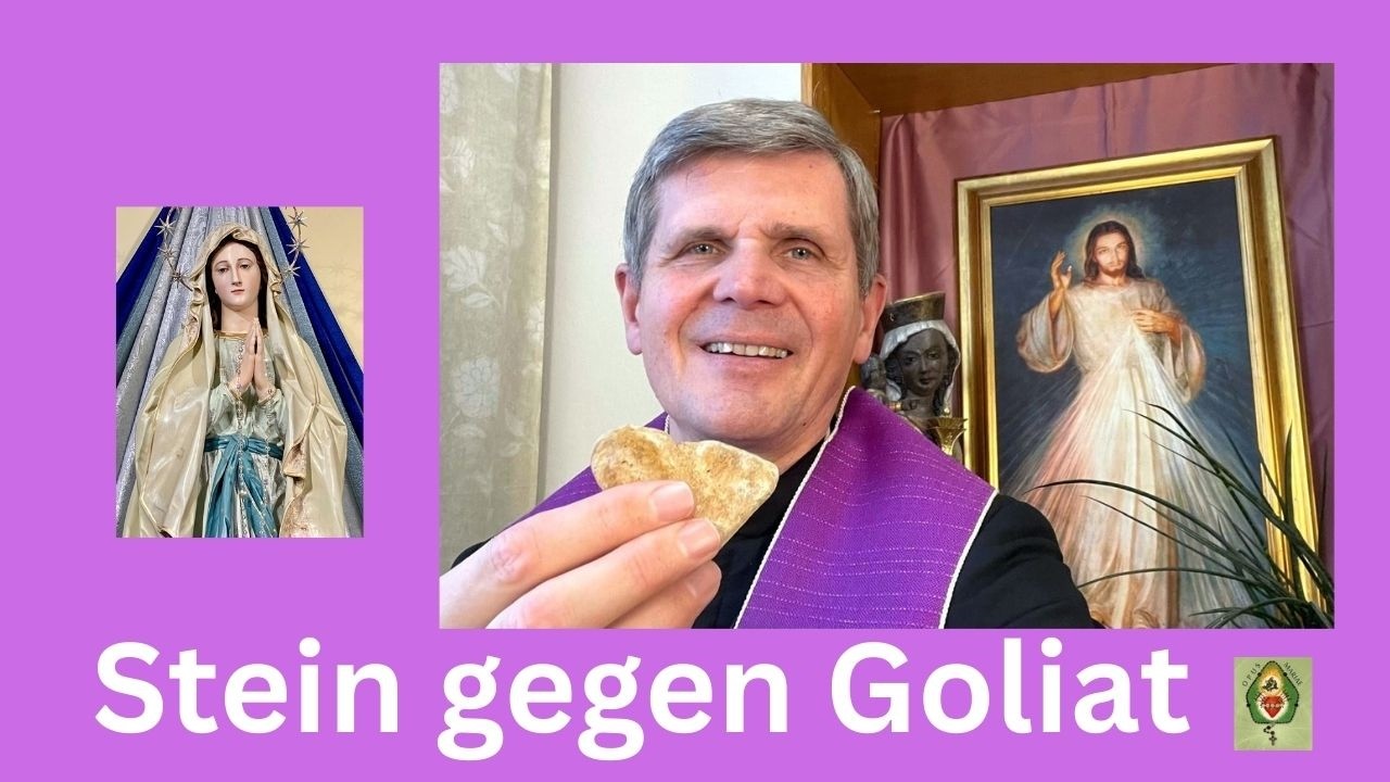 Steine gegen Goliat