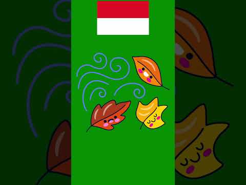 Nauka Języka Indonezyjskiego - PRZEPIÓRKA i WIATR