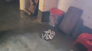 XXL XXL XXL XXL FREESTYLE 2024 |XXL2025 | Xxwd5000xa | XXL XXL XXL XXLFREESTYLE