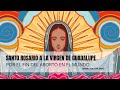 Santo Rosario ala Virgen de Guadalupe. Por el fin del aborto en el mundo. 9 de julio de 2020