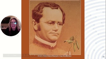 AP Ch 11, Pt1: Mendelian Patterns of Inheritance: Intro, Laws & Probability