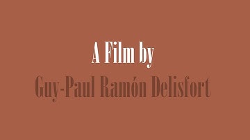 White Lies || NYU First Person Narrative Animation Project